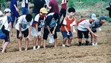 子供たちの種まき